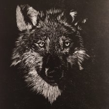 Linoryt, ilustracja, grafika, obrazek, obraz, sztuka - Wilk, Pies, Owczarek Niemiecki