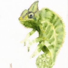 Oryginalna akwarela. Kameleon