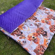 Mata wodoodporna dla psa – wygoda, styl i zero stresu o zabrudzenia