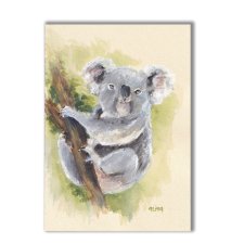 Koala. Akwarela ręcznie malowana