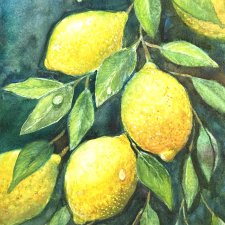 Gałązka cytryny Original Akwarela A4