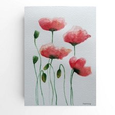 Maki- obraz  akwarela