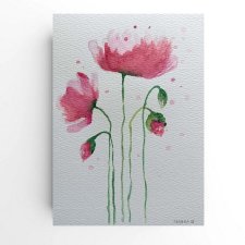 Maki- obraz  akwarela