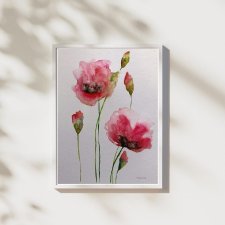 Maki - obraz  akwarela