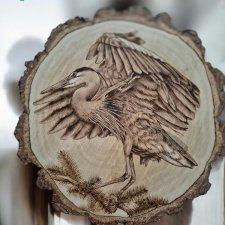 Czapla na okrągłym plastrze brzozowym