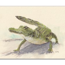 Krokodyl. Akwarela ręcznie malowana.
