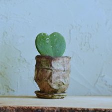 ŚLADY NATURY III_doniczka ceramiczna_brązy z nutką zieleni