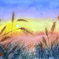 Kłosy pszenicy  Original Akwarela A4