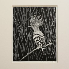 Dudek, ptak - oprawione passe-partout - Linoryt, ilustracja, grafika, obrazek, obraz, sztuka, plakat, dekoracje, ramka