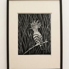 Dudek, ptak - oprawione passe-partout - Linoryt, ilustracja, grafika, obrazek, obraz, sztuka, plakat, dekoracje, ramka