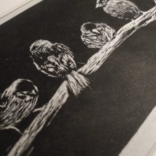 Ptaki, Wróble - Linoryt, ilustracja, grafika, obrazek, obraz, sztuka, plakat, dekoracje