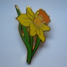 METALOWA EMALIOWANA PRZYPINKA PIN ŻONKIL
