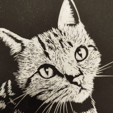 Kot - Linoryt, ilustracja, grafika, obrazek, obraz, sztuka, plakat, dekoracje