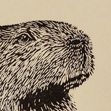 Kapibara - Linoryt, ilustracja, grafika, obrazek, obraz, sztuka, plakat, dekoracje