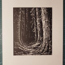 Las, Bór, Drzewa - oprawione passe-partout - Linoryt, ilustracja, grafika, obrazek, obraz, sztuka, plakat, dekoracje