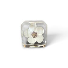 Gałka meblowa kwadracik FLOKS 25 mm - kwiaty w żywicy - Pralines
