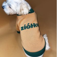 ZIÓŁKO 100% merino extra fine, rozmiar S