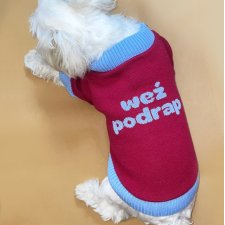 WEŹ PODRAP 100% merino extra fine, rozmiar S