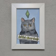 Obrazek - grafika - handmade kot brytyjski