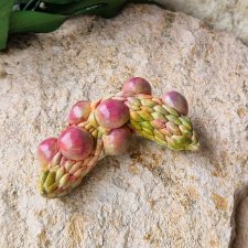 Broszka Magnolia 2