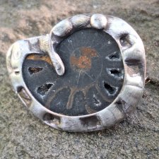 Stary amonit - broszka