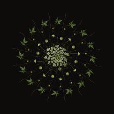 Delikatność - mandala botaniczna