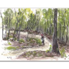 Rower MTB, góry. Jesenik. Grafika ręcznie malowana + rama