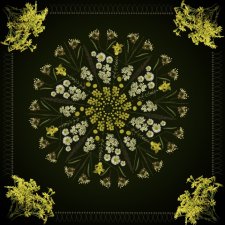 Sierpniowa łąka - mandala botaniczna