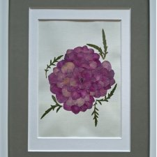 Hortensjowa kompozycja – obraz z suszonych kwiatów 21 × 30 cm