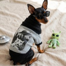 Psi Ufolog – sweterek dla psa od Foxy Knit ???????? Uwaga! Kontakt z obcą cywilizacją został potwierdzony. ????
