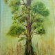 Obraz olejny ręcznie malowany 40x60 cm Drzewo las