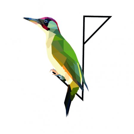 Picus Viridis